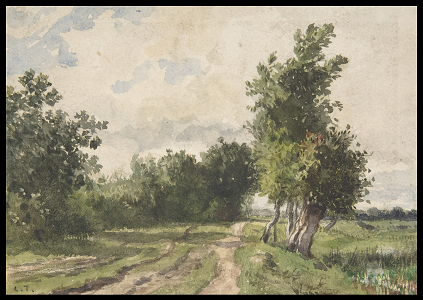 landscape
