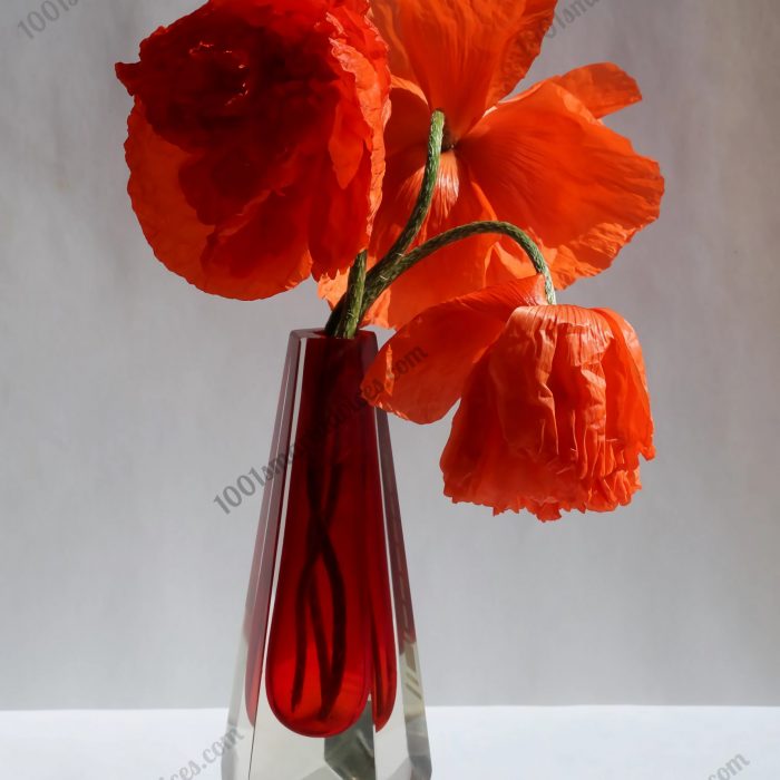Poppies bouquet