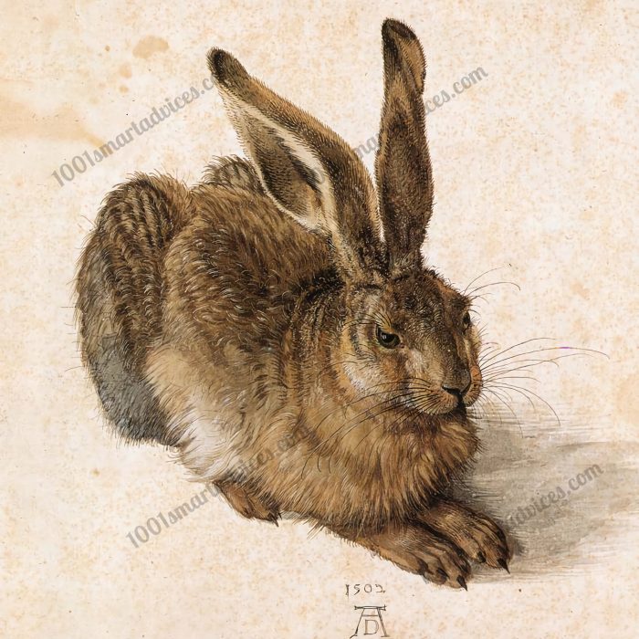 Young Hare by Albrecht Dürer