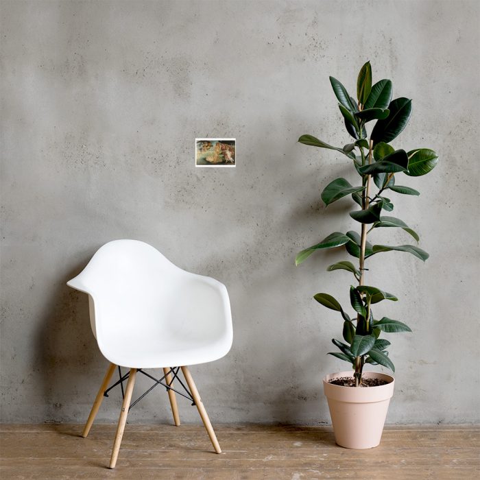 The Birth of Venus by Sandro Botticelli