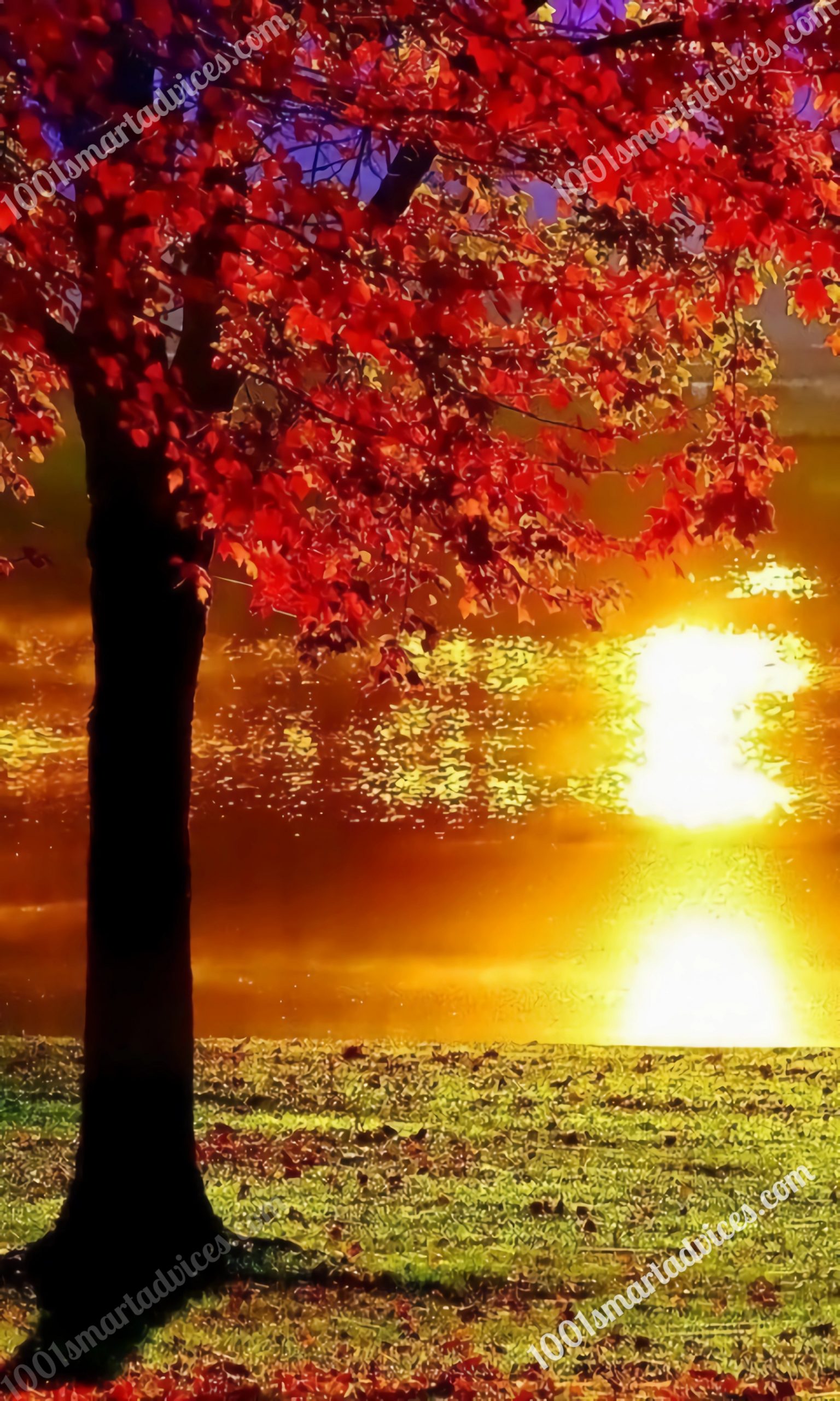 Autumn Landscape_2