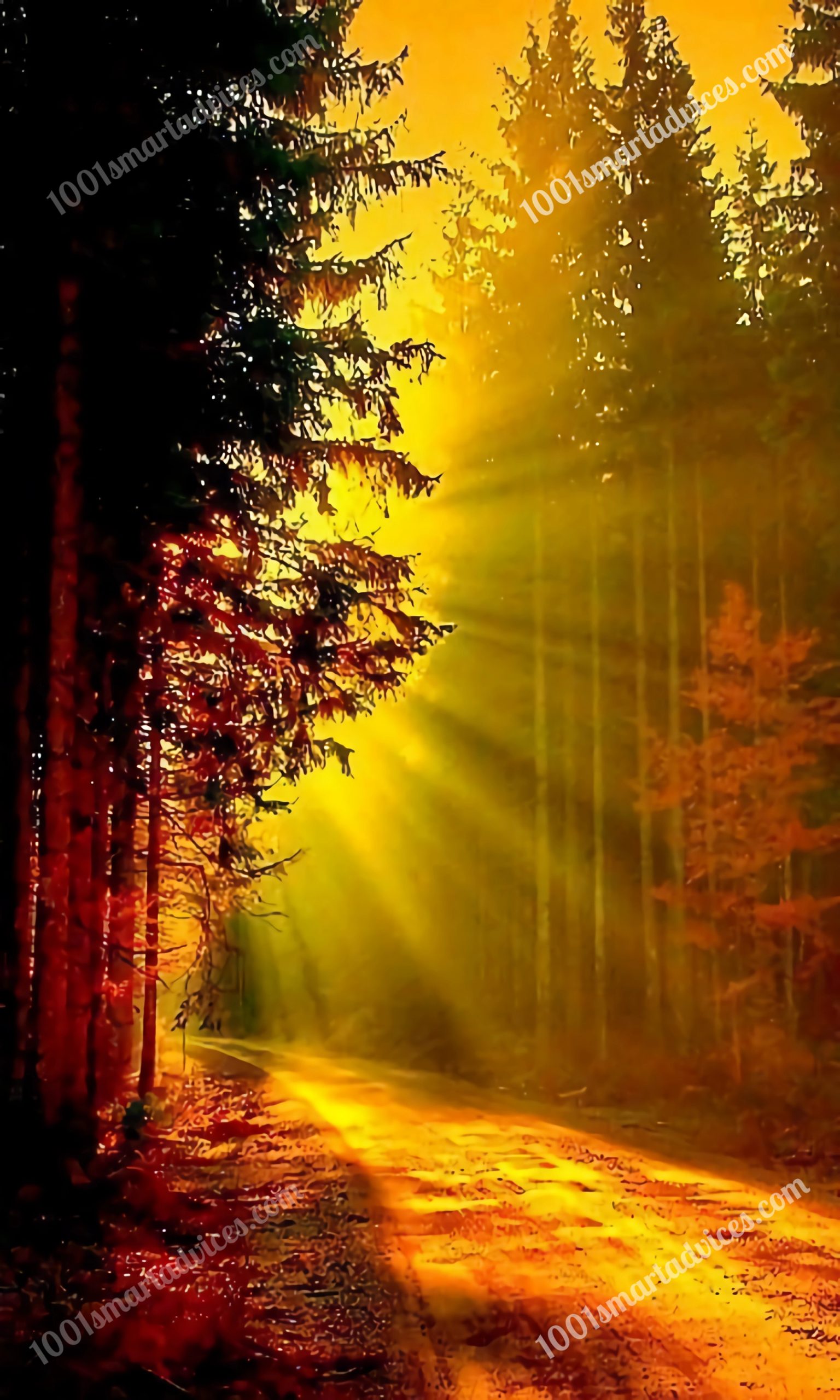 A Symphony of Autumn Colors: Digital Art Bundle - Image 3