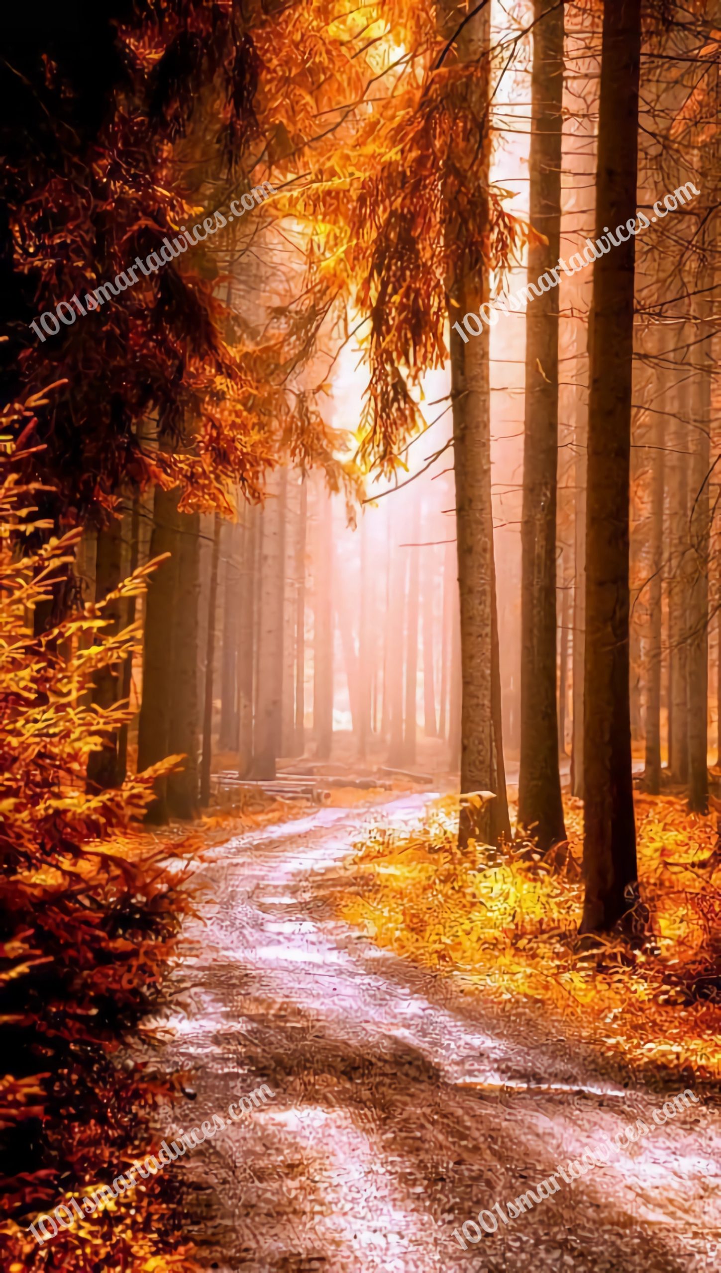 A Symphony of Autumn Colors: Digital Art Bundle - Image 4