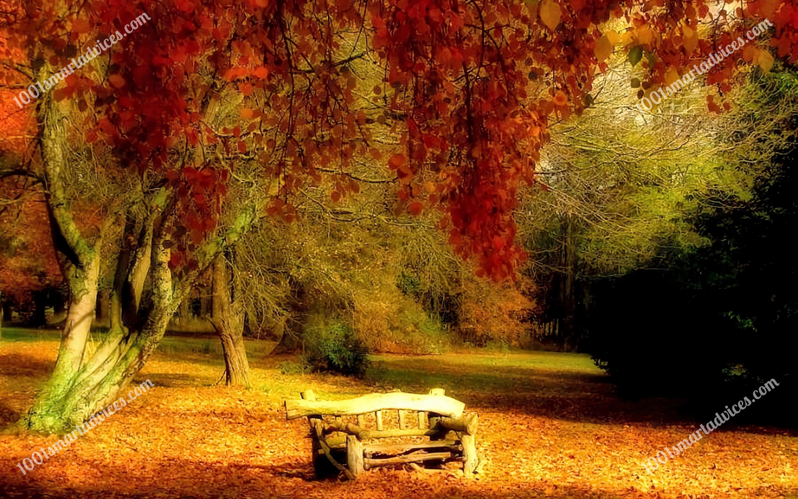 Autumn Landscape_6