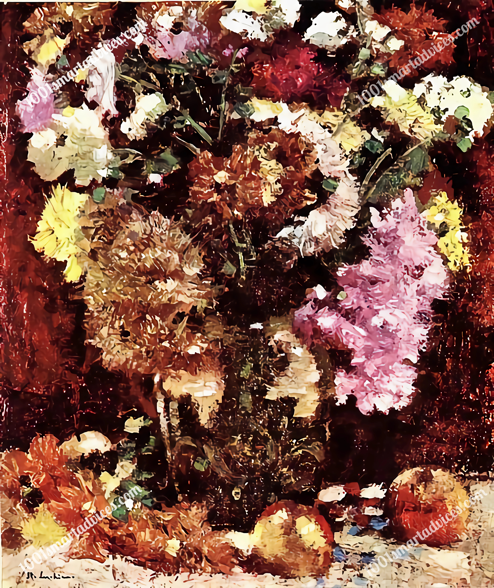 Chrysanthemum