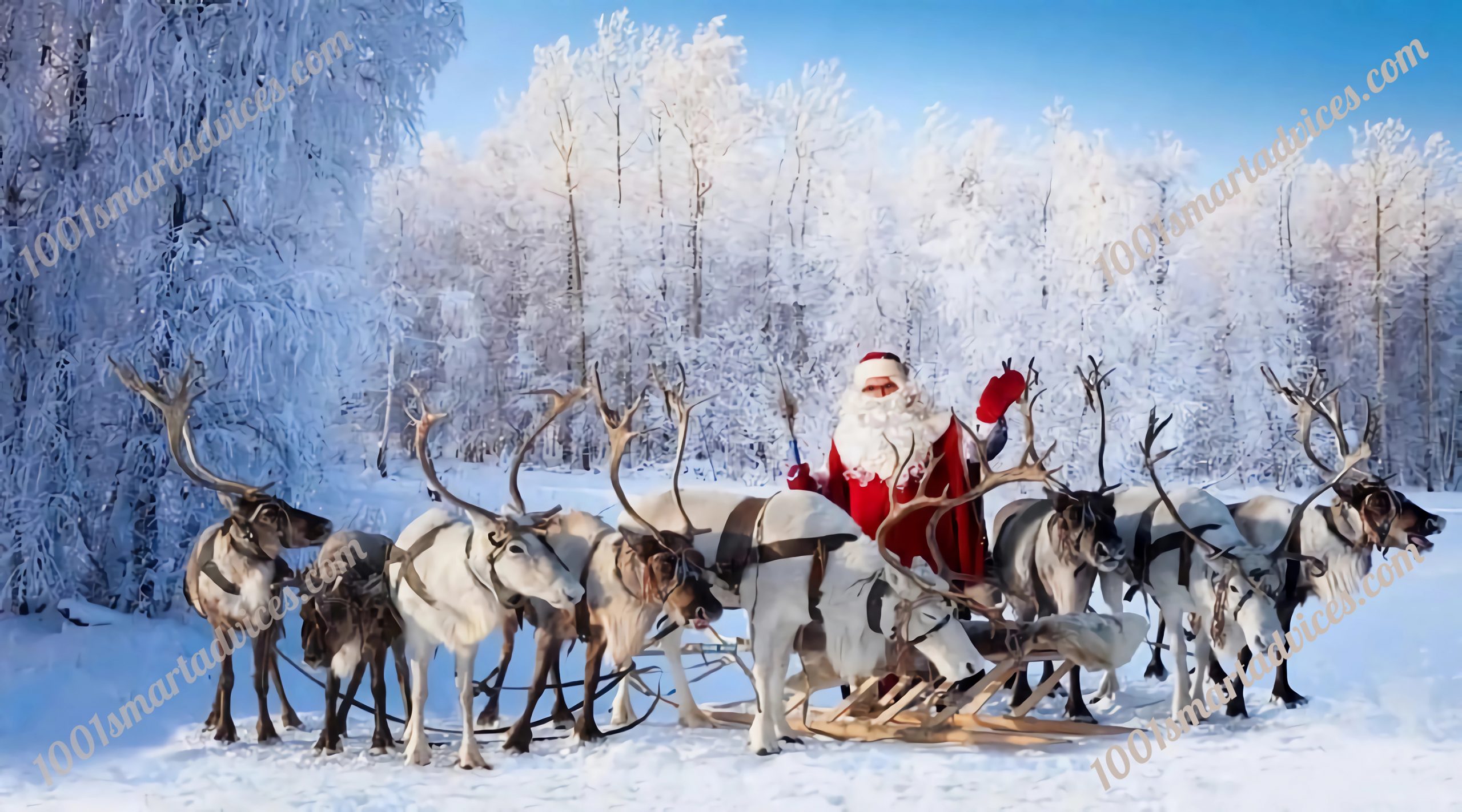 Santa and reindeer