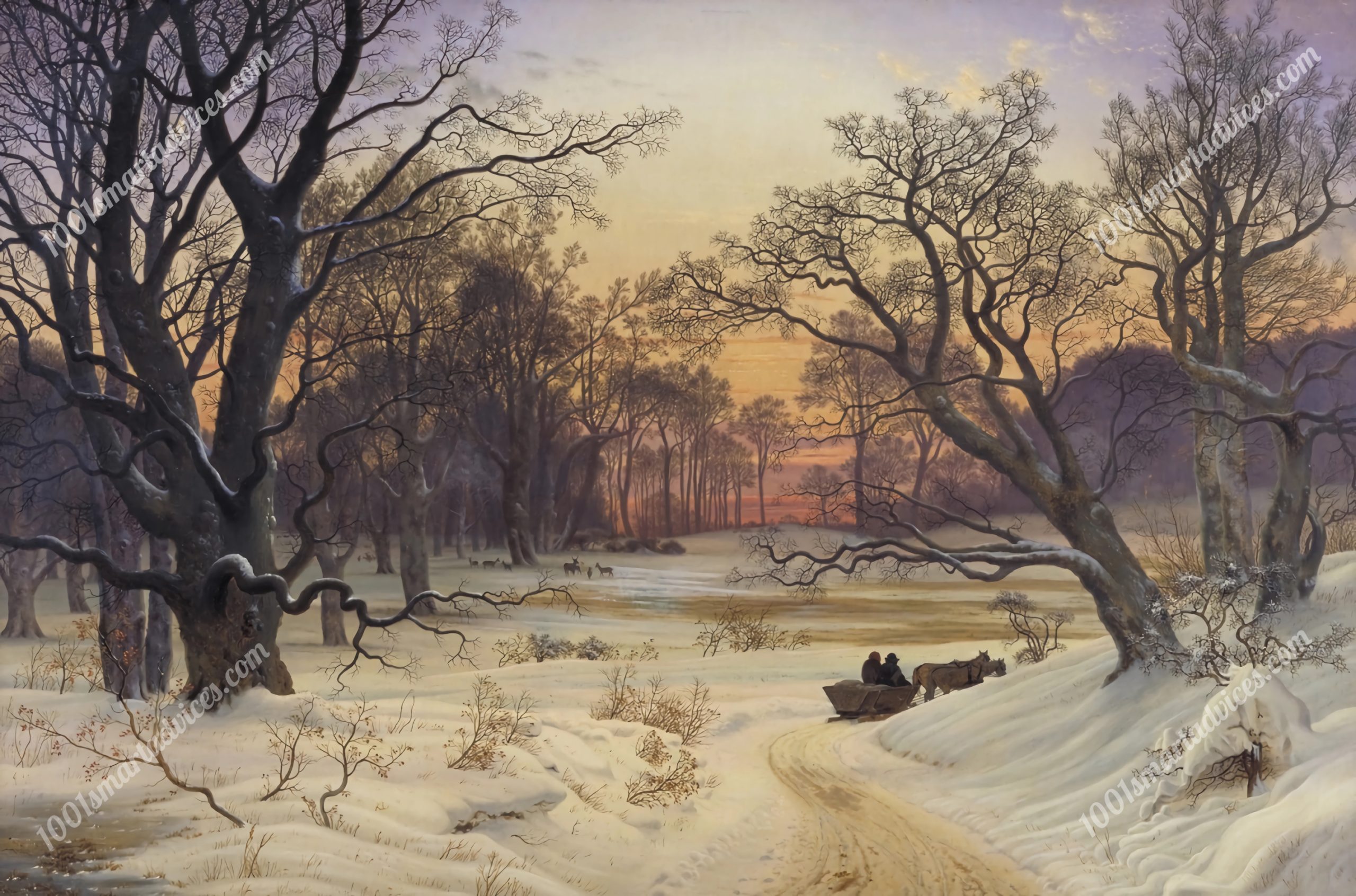 Winter Night in a Forest
