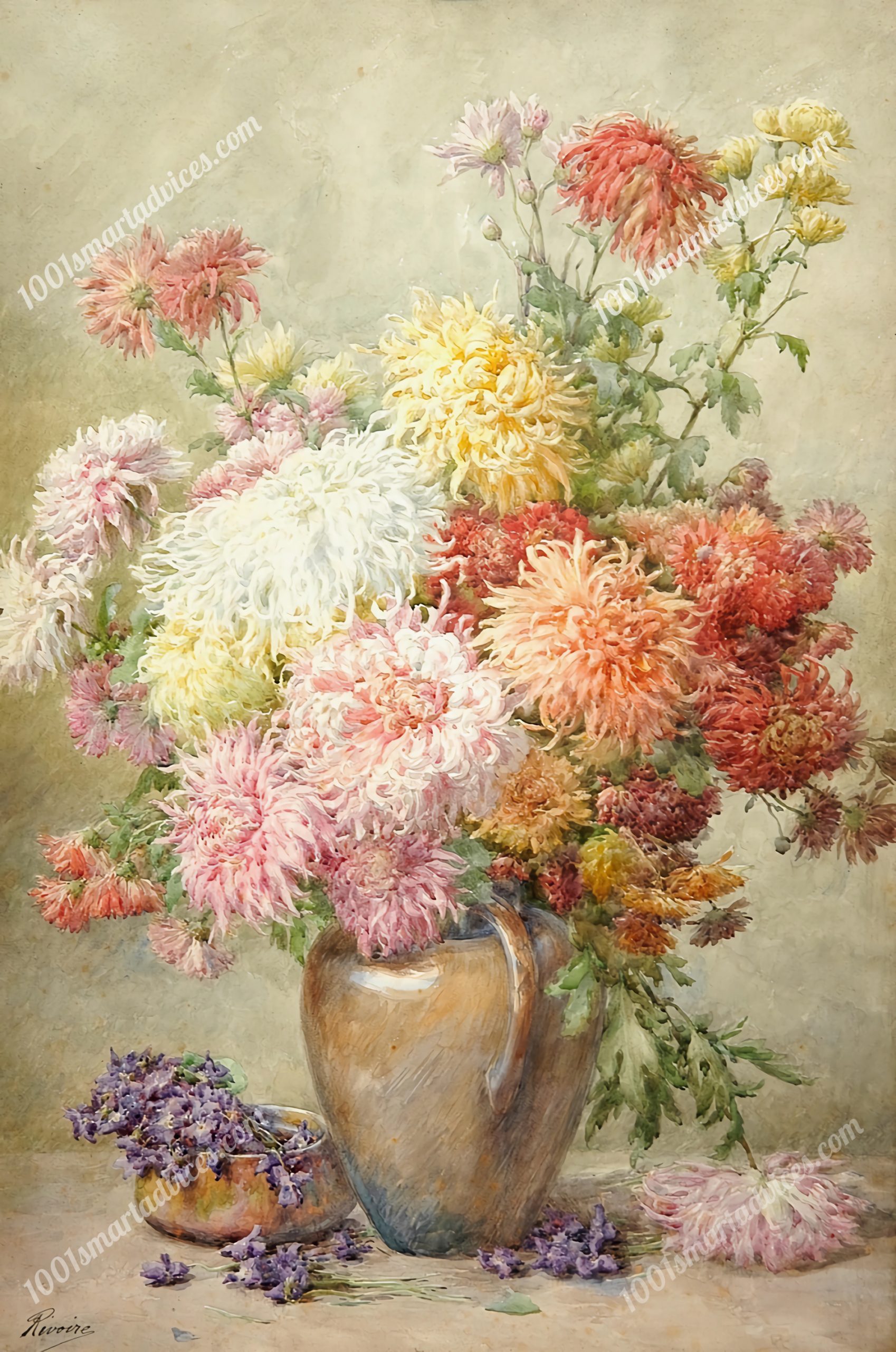 Chrysanthemes