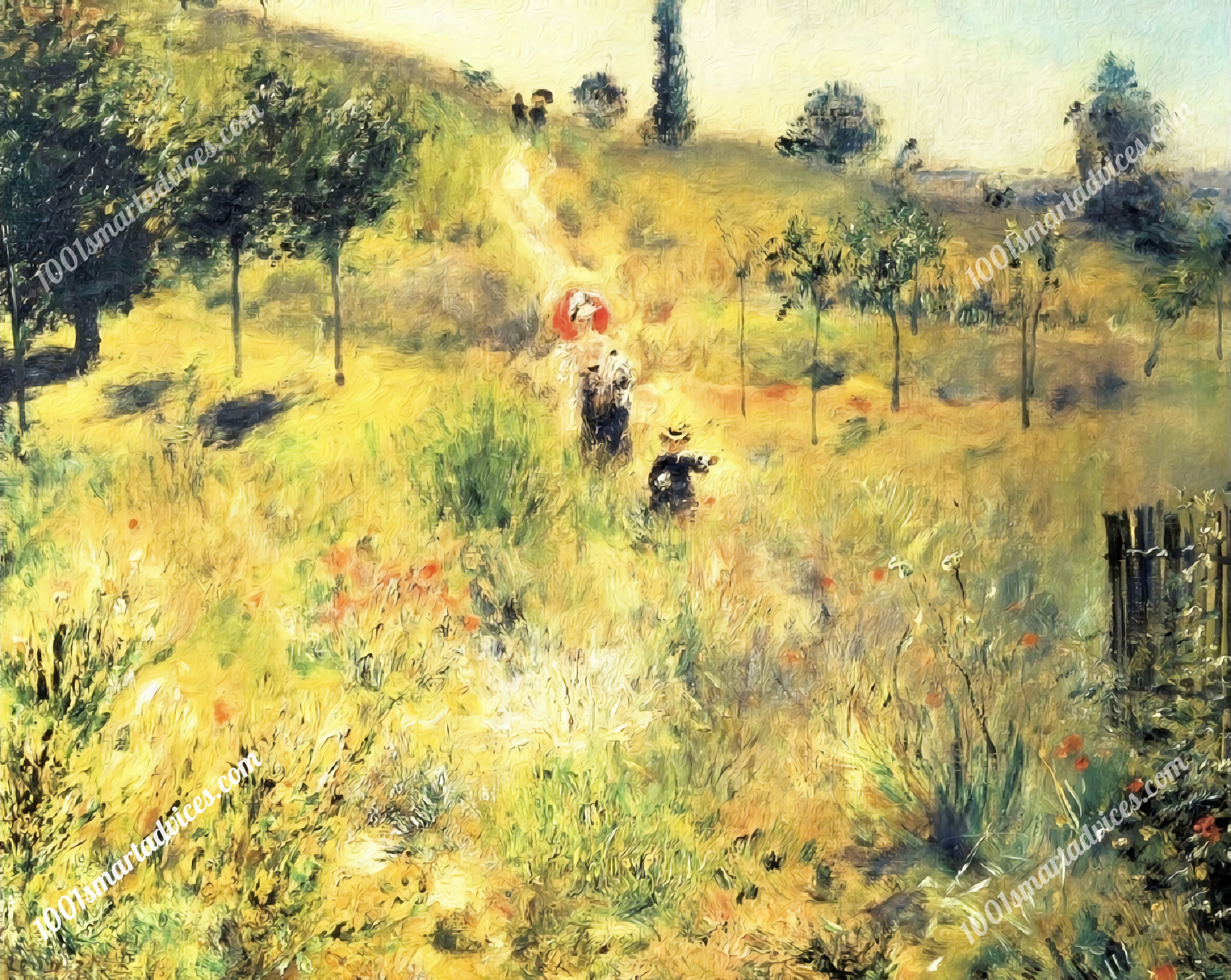 Chemin montant dans les hautes herbes